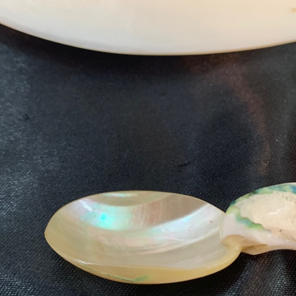 Polished Pearlized Large Clamshell Serving Dish and 4 Conch & Clamshell Spoon - Picture 11 of 12